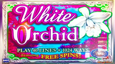 free slots white orchid